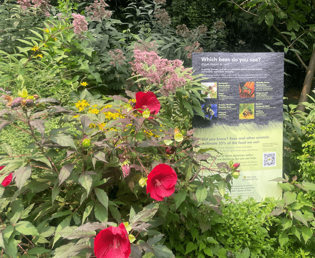 The Apiary at The Central Park Zoo Bee Conservancy